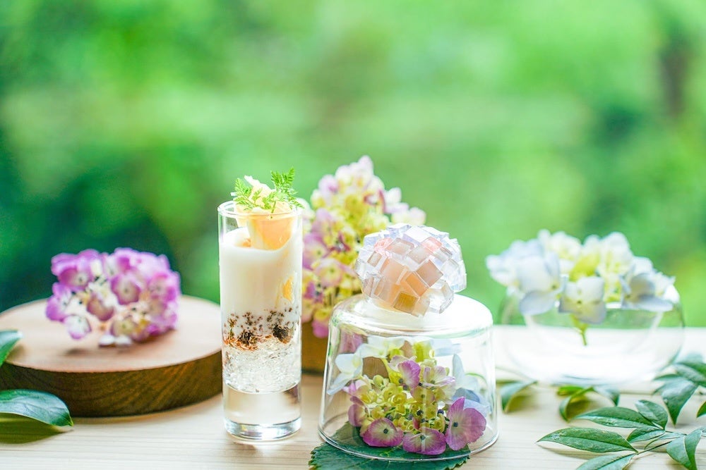 梅雨のおでかけに。森のカフェで楽しむ紫陽花スイーツ付き「森のアフタヌーンティー 初夏」が登場