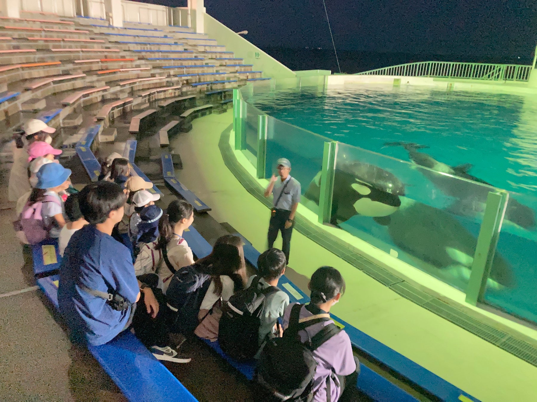【夏休みの過ごし方】7/27出発 夜の水族館！鴨川シーワールド裏側探険＆アニマルアドベンチャーキャンプ