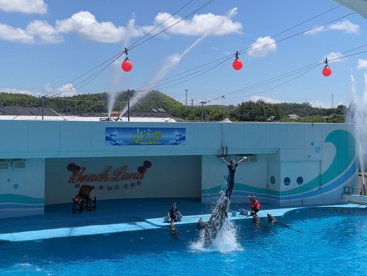ココロに刺激！ビビビ！！！ビーチランド！至近距離のふれあいで涼む、夏限定イベントを多数開催＜愛知＞