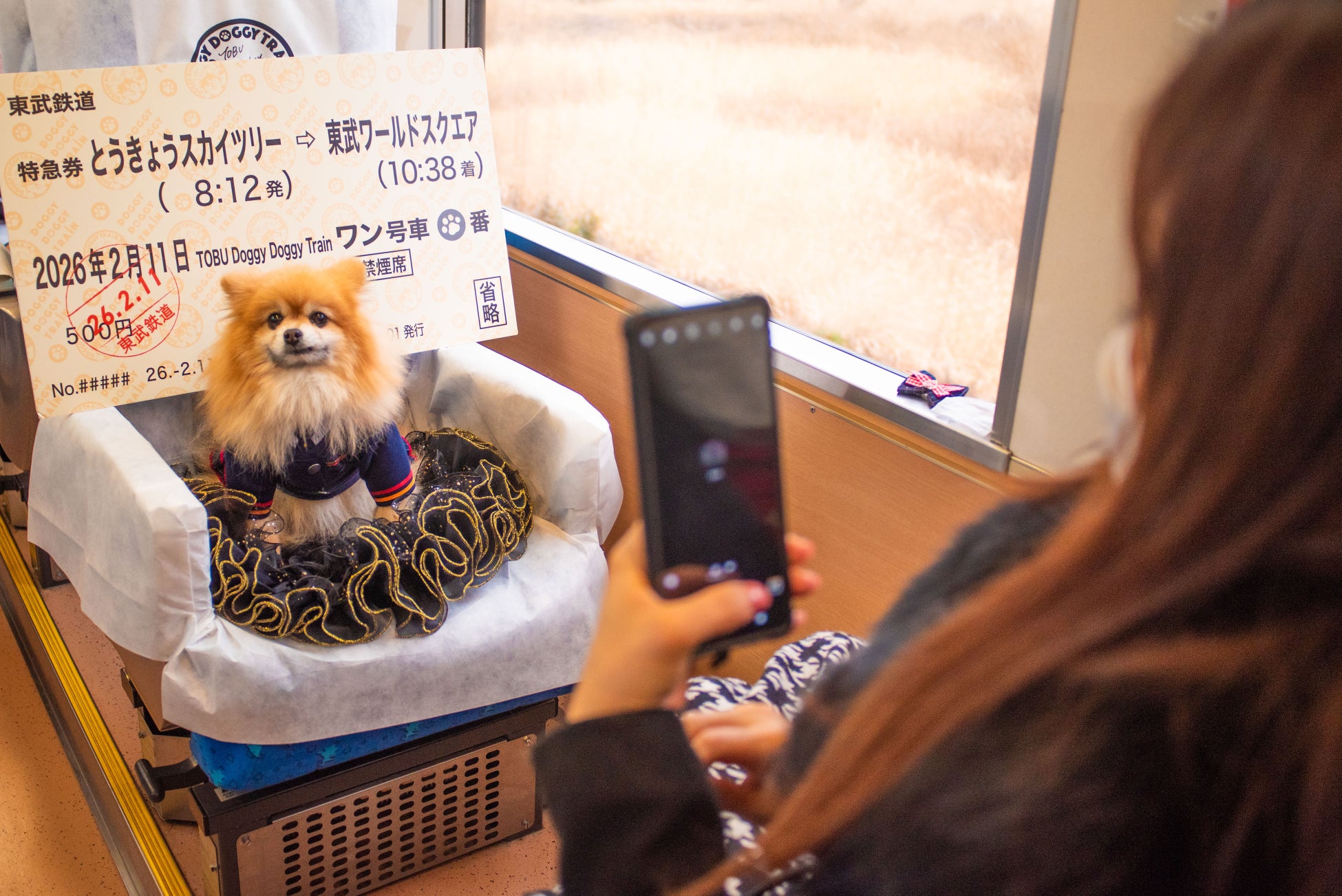 いつも一緒にいられる“ケージレス”な移動手段が拡大！愛犬と泊まる夏の日光・鬼怒川ツアーの発売を開始します