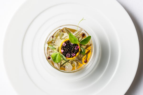 【ホテルメトロポリタン エドモント】「FOURGRAINS(フォーグレイン)」 “美食と養生”をテーマとした夏コース