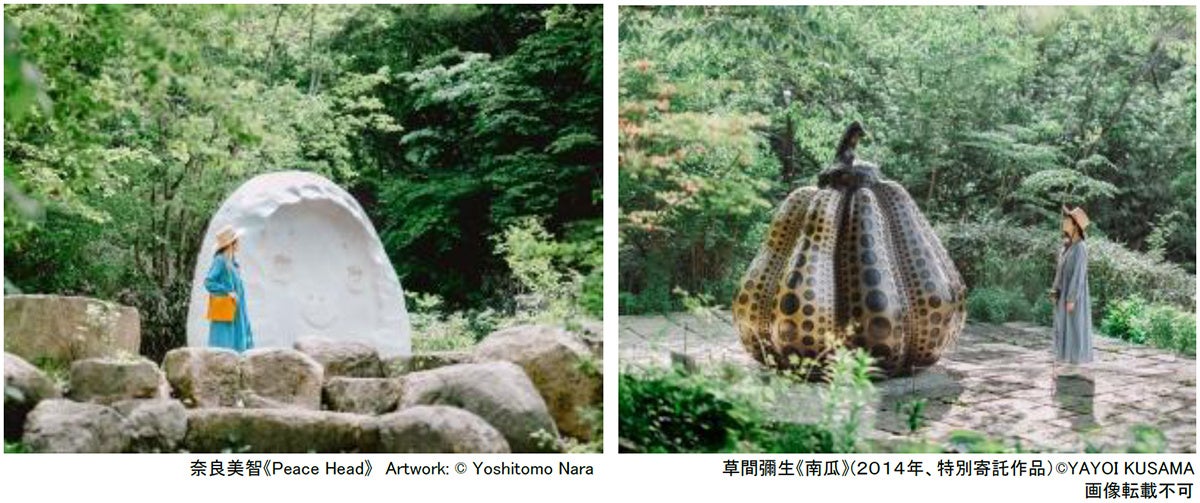 ROKKO森の音ミュージアム お得なキャンペーン アートと出会う！大学生割引キャンペーン 2026年7月1日（水）～8月26日（水）