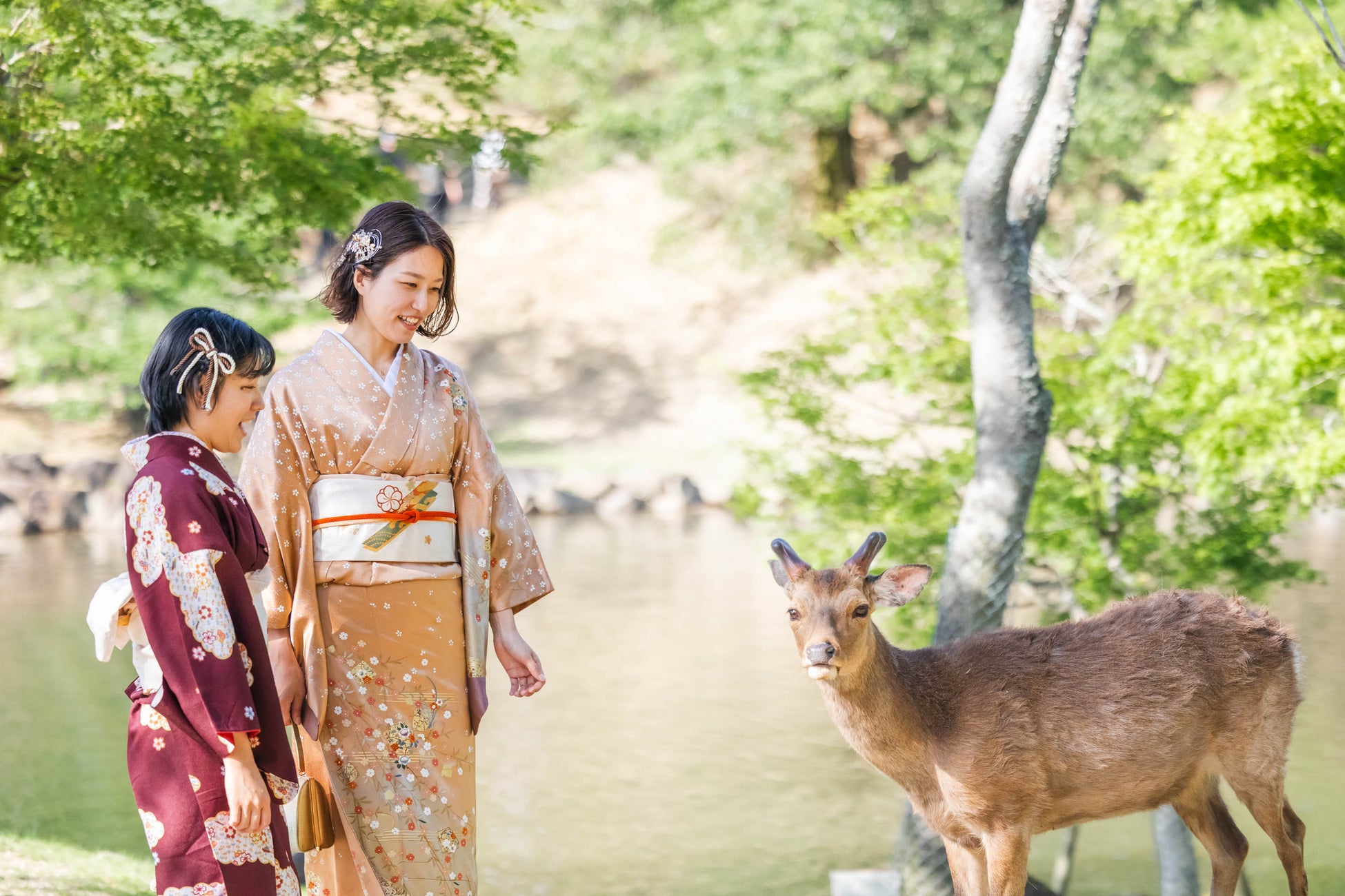 《博麗神社夏祭り2026》7/3(金)～31(金)よみうりランド隣接「HANA・BIYORI」にてコラボ企画実施！