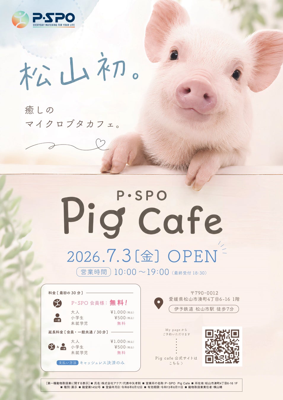 【愛媛・松山】松山初※のマイクロブタカフェ「P・SPO Pig Cafe」が7月3日オープン