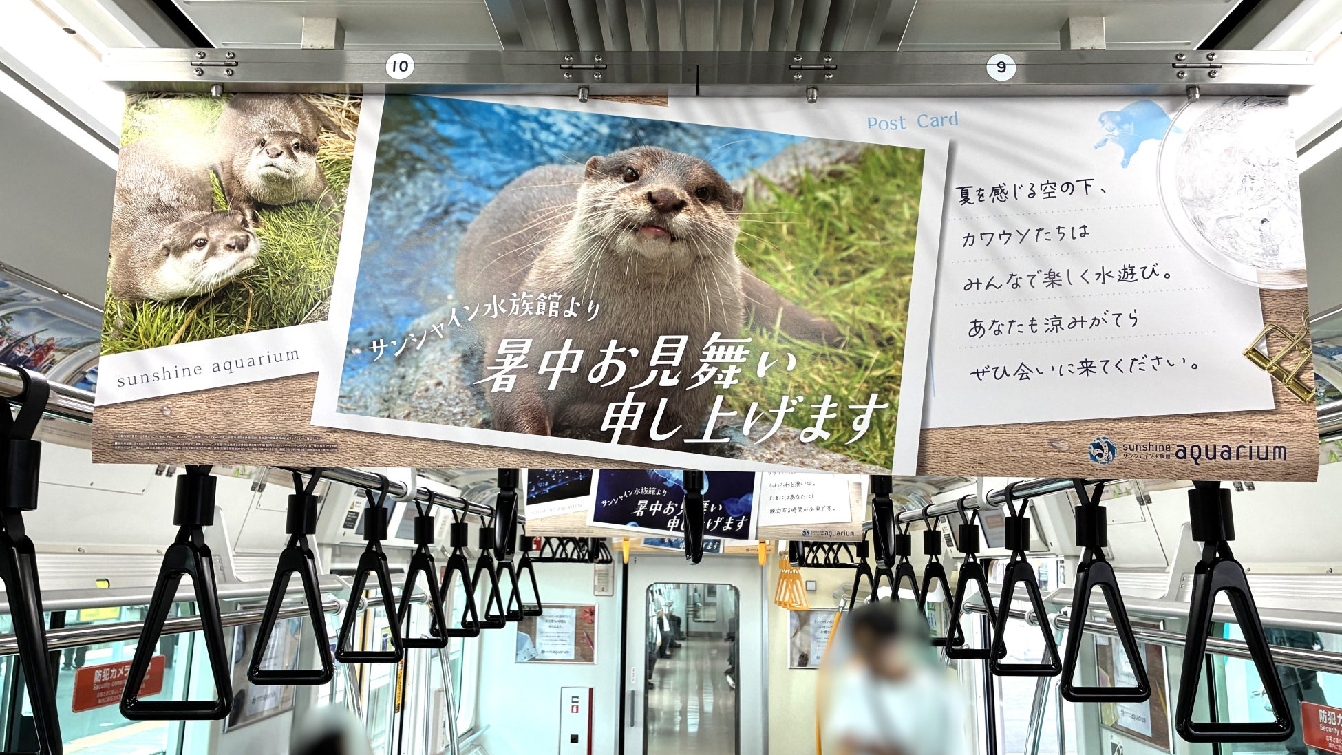 ウェーダーは“立ち込む道具”から“歩いて攻める道具”へ。ブーツ丈を短くするだけで、足元の負担はどう変わるのか