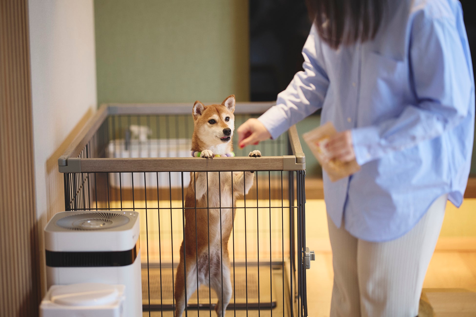 【愛犬と一緒に夕食を】「洞爺湖 鶴雅リゾート 洸の謌」でワンちゃんルーム向け部屋食プランを販売