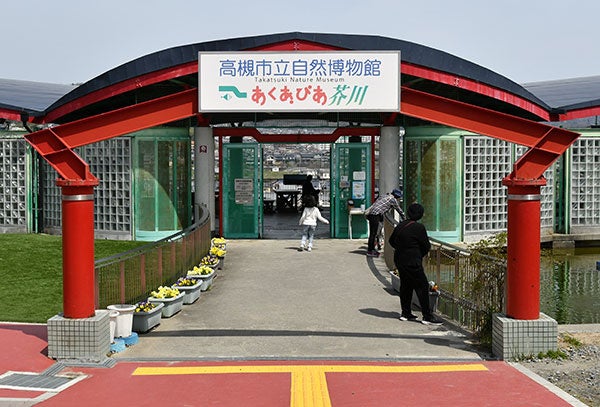 高槻市の自然博物館で身近な生き物「ダンゴムシ」が主役の企画展開催