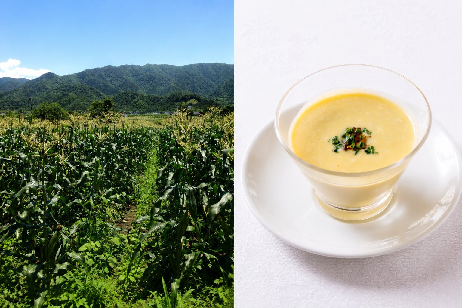 山梨の旬を旅の思い出に―八ヶ岳 ホテル風か、稀少とうもろこし「きみひめ」を採用　県産食材を通じた山梨の魅力発信を強化