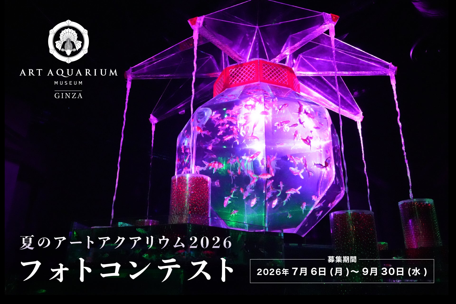 夏のアートアクアリウム2026 −金魚と巡る、日本の夏− 「金魚を愛でる」をテーマにフォトコンテストを開催！