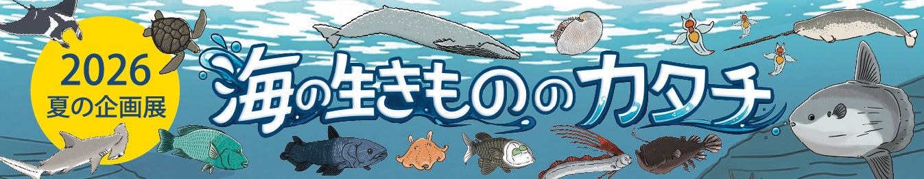 港区立みなと科学館 2026 夏の企画展「海の生きもののカタチ」開催について