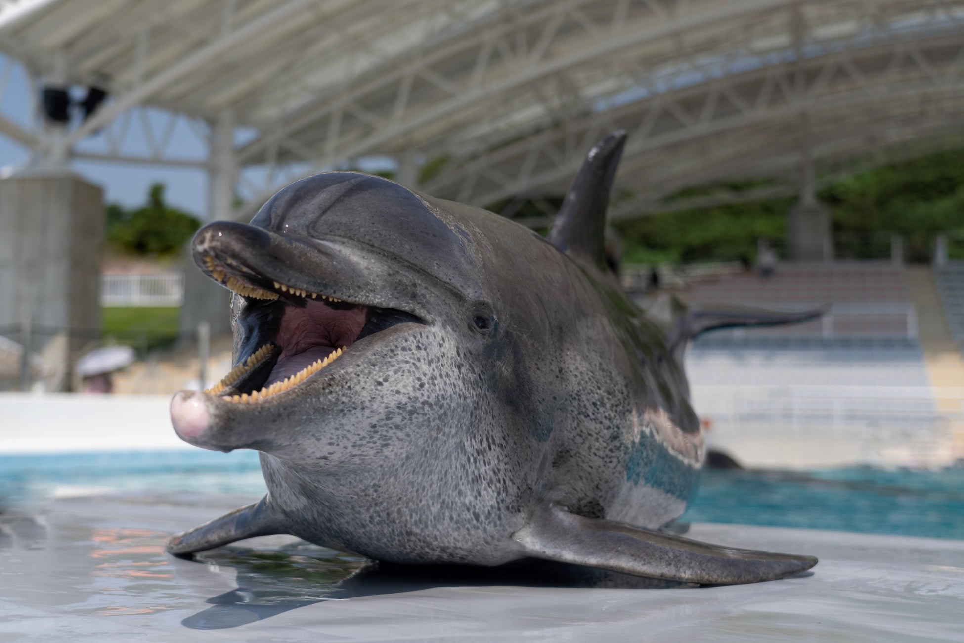 【夕日に染まる湖を水上散歩】「サロマ湖 鶴雅リゾート」で宿泊者限定のSUP体験を7月開始
