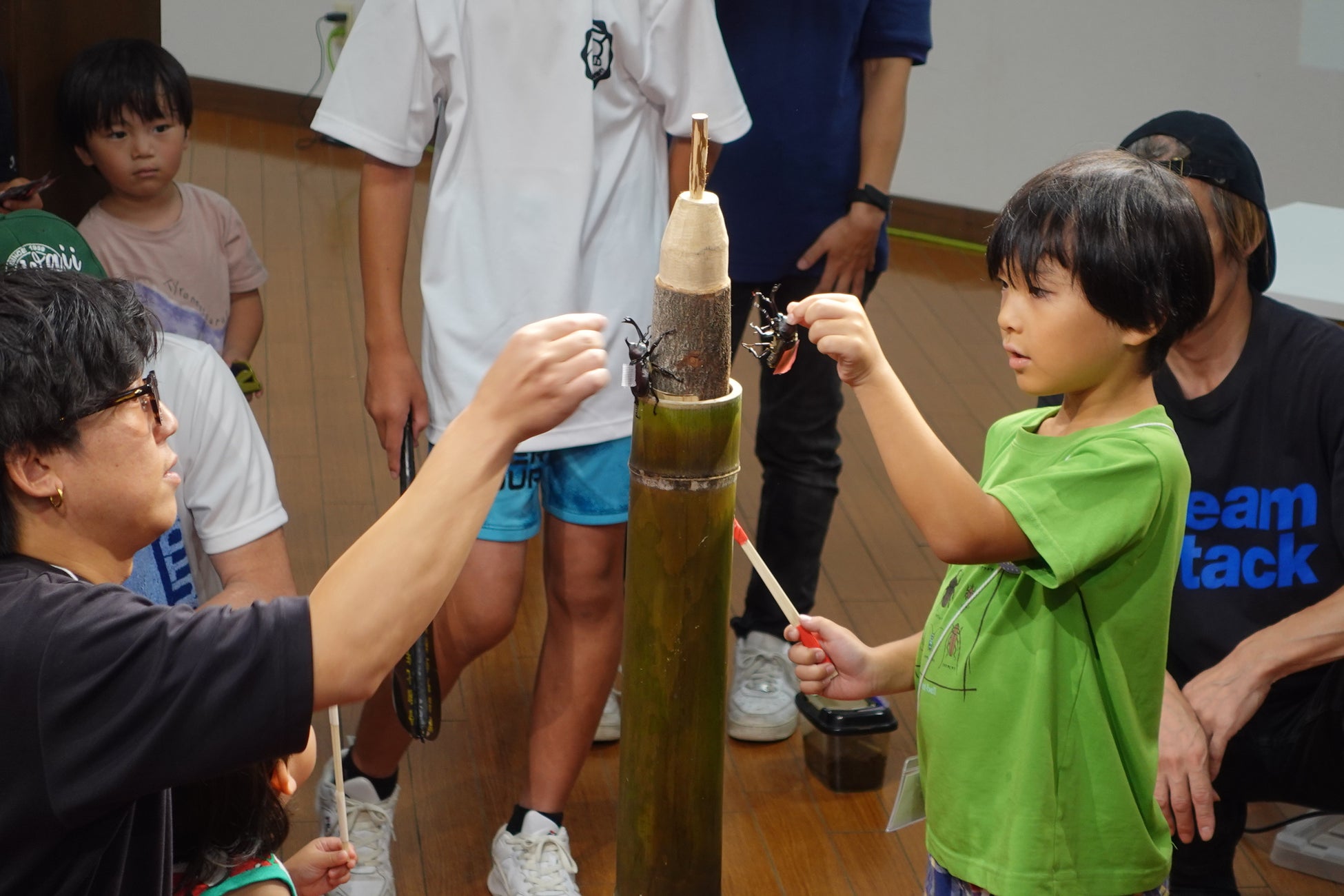 地域の元気を応援、グンゼ「第3回あやべカブト虫相撲大会」に協賛