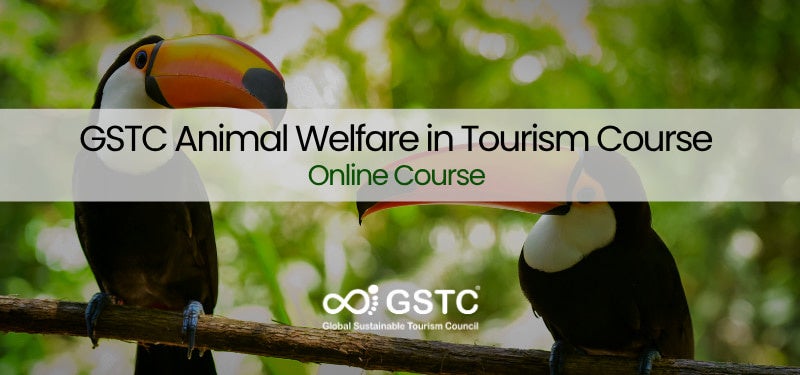 GSTC、観光における「動物福祉」の国際オンライン研修を開始