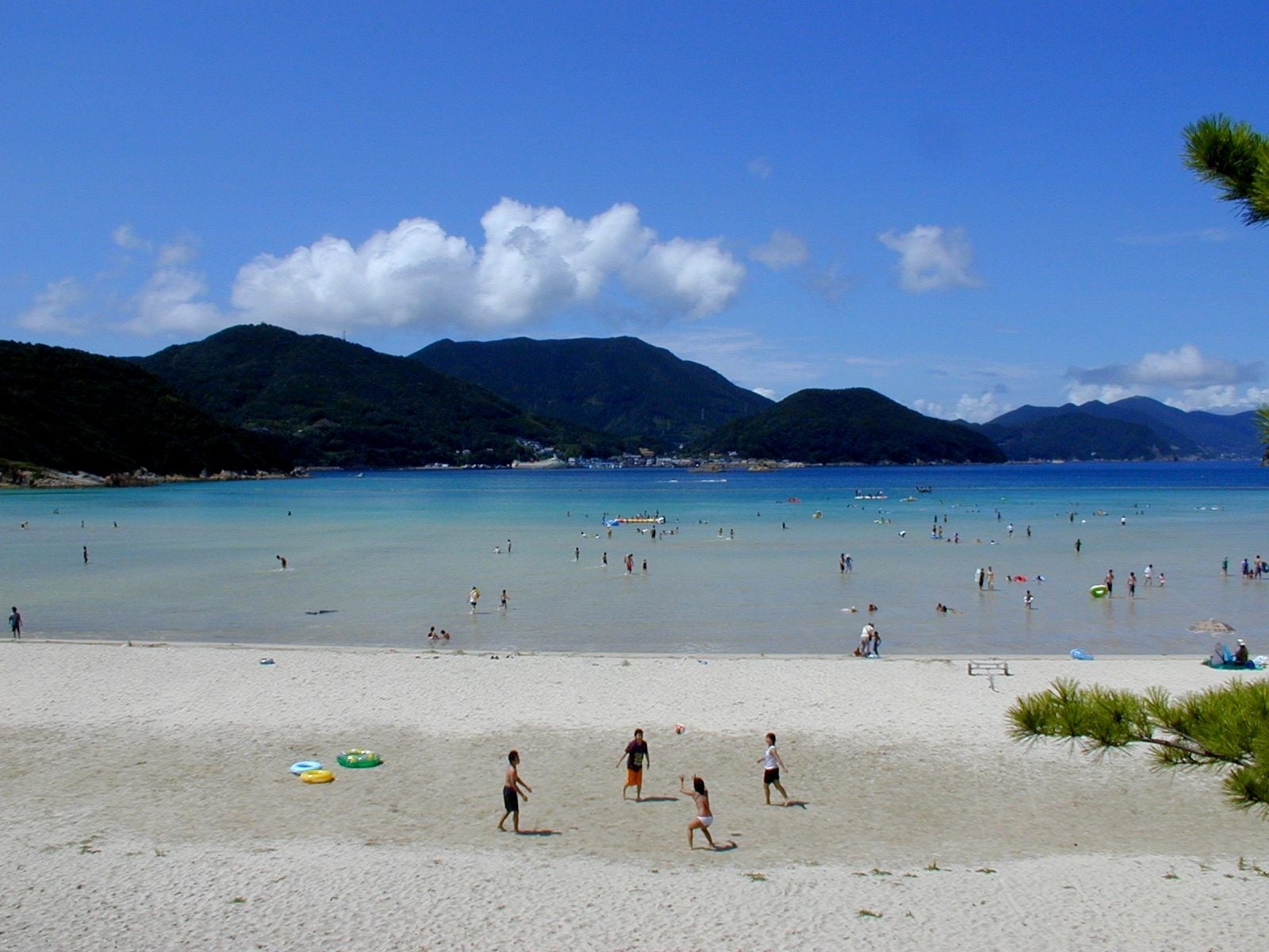 夏休み限定イベント「カワスイで カワ遊び!川と森の昆虫大発見!」開催