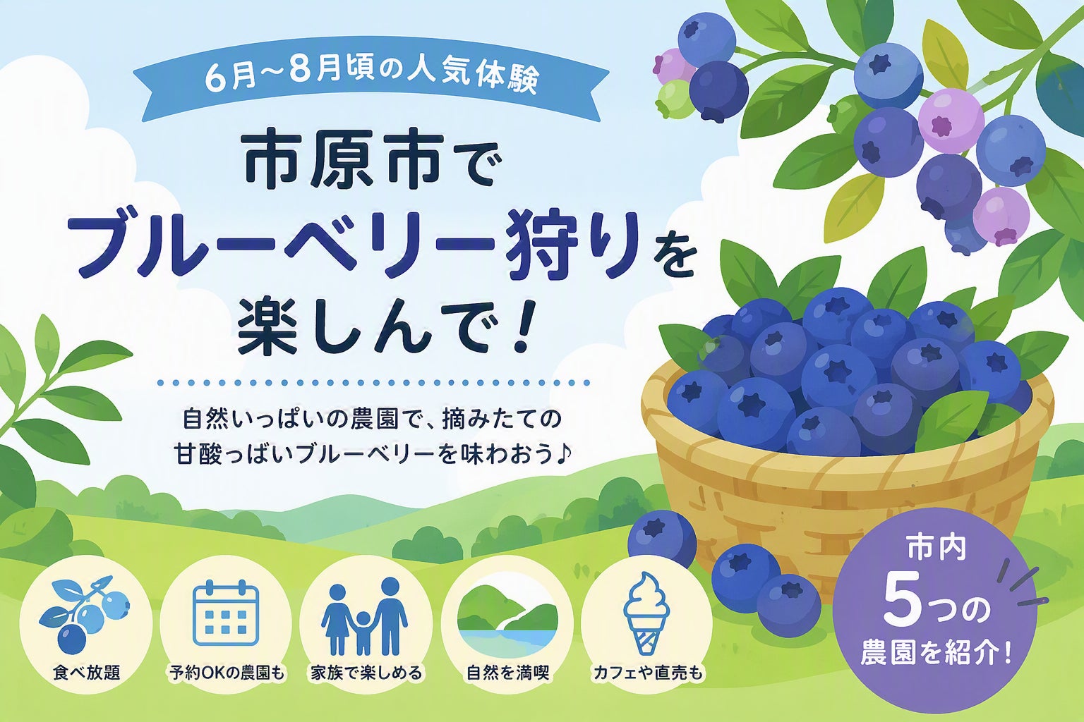夏のお出かけにぴったり👒”いちはらならでは”のブルーベリー狩り🫐