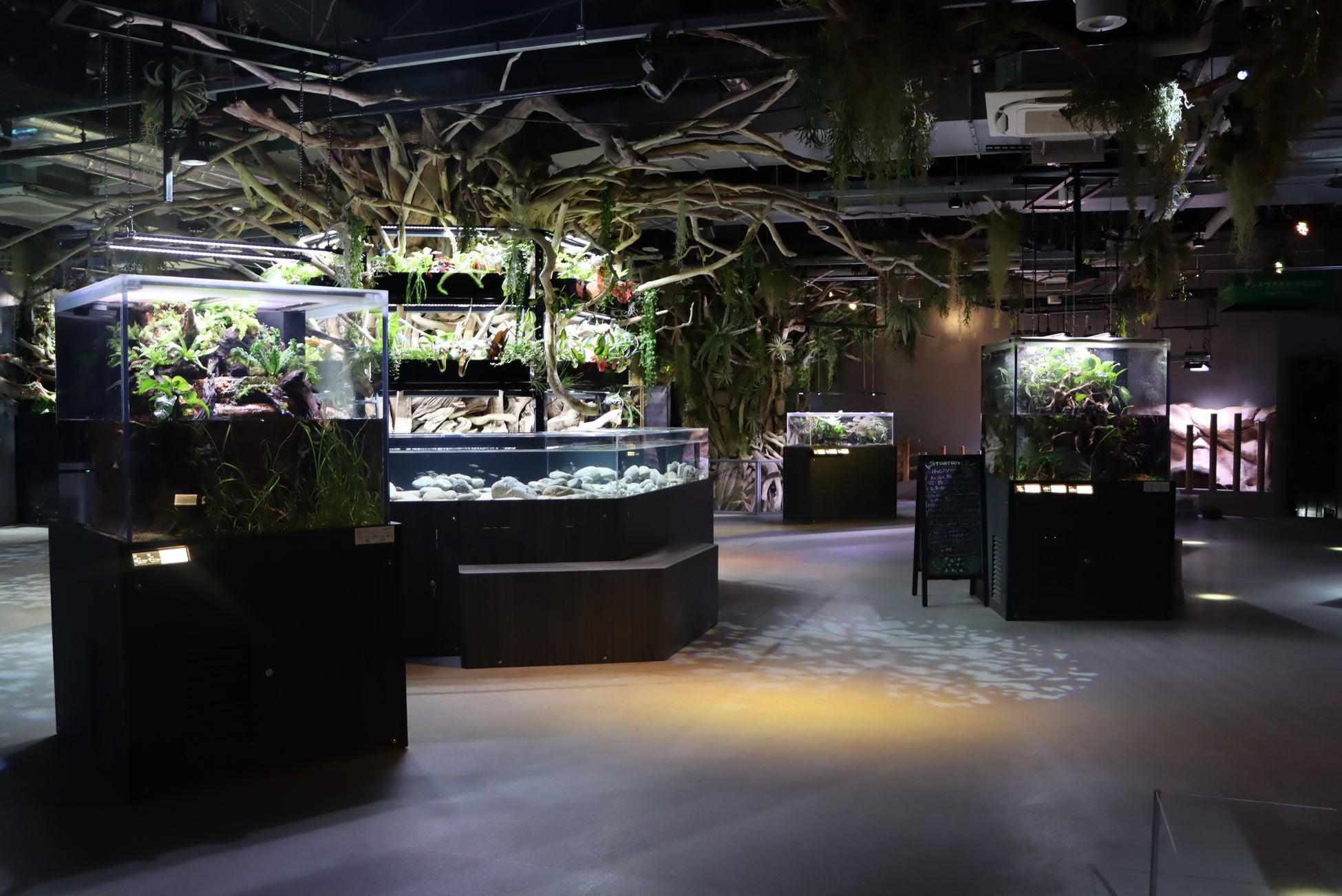 【7月11日リニューアル】2階「ELEMENTS 精霊の森」新しい体験もスタート！【神戸港の水族館アトア】