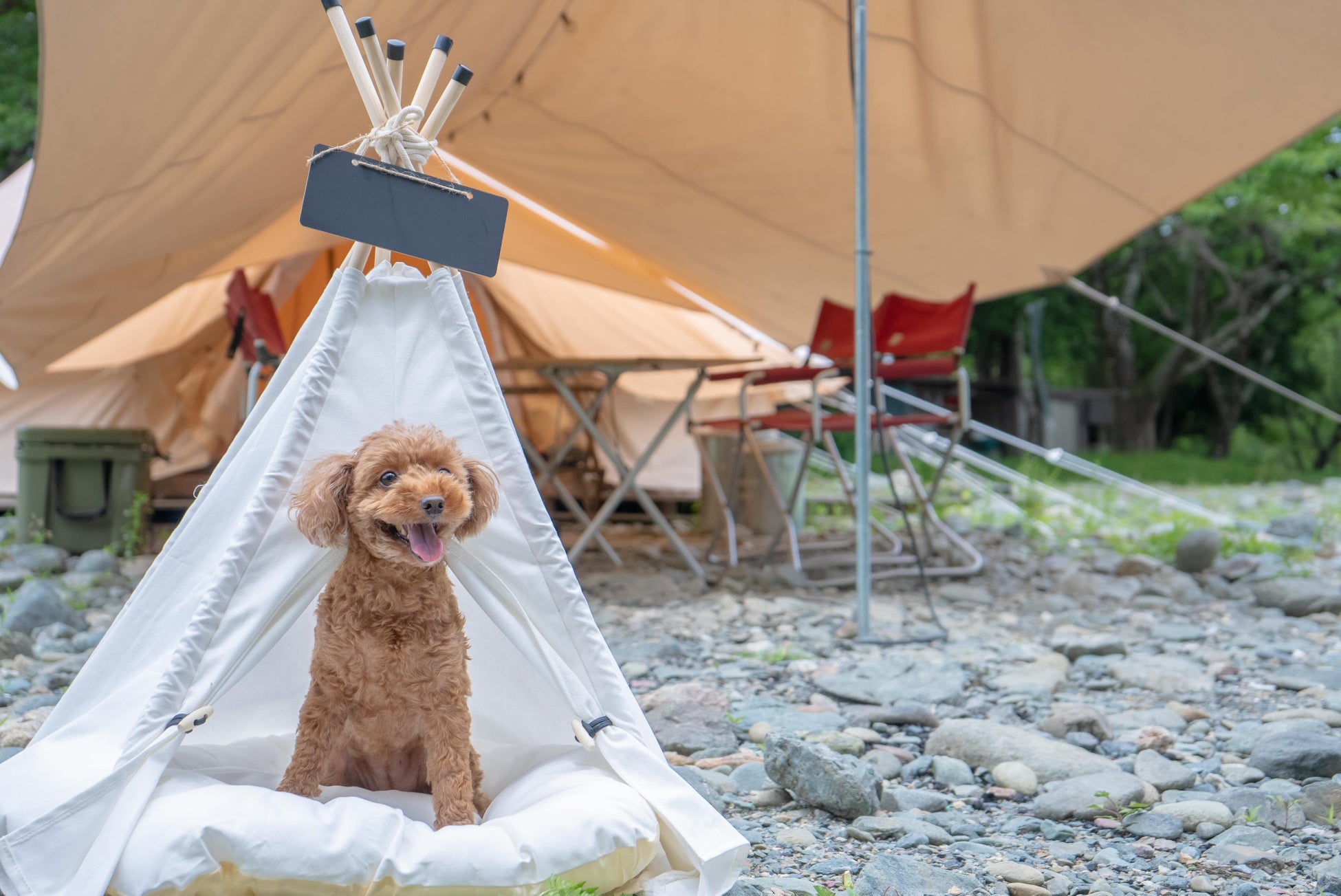 清流と里山に囲まれたCOMORIVER（コモリバ）で愛犬とお泊まり愛犬との旅をもっと気軽に「ペットアイテム」を拡充