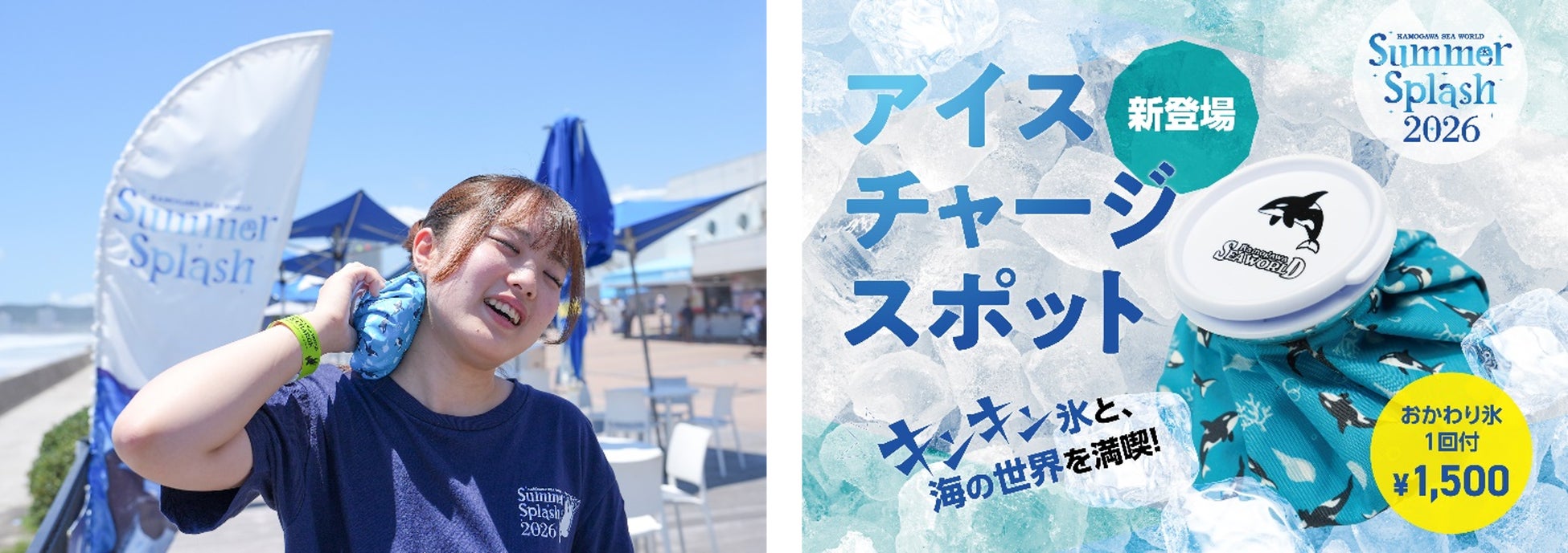 【鴨川シーワールド】シャチ柄の『オリジナル 氷のう』を数量限定販売＆購入者専用で「氷のおかわり（1回分）」ができるアイスチャージスポットを今夏導入