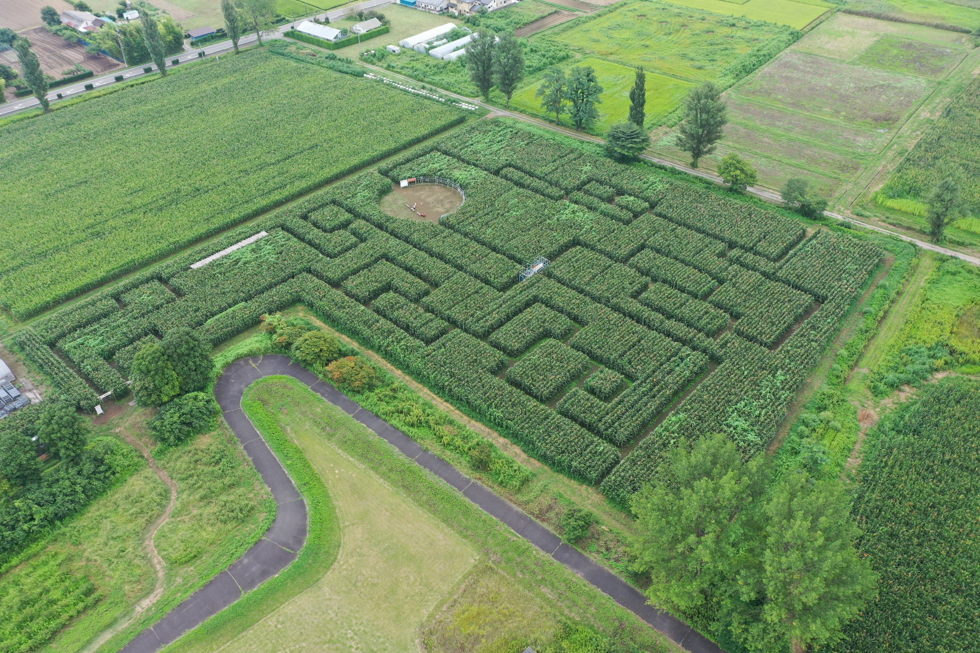 【福島県岩瀬郡鏡石町】岩瀬牧場「東北最大級！とうもろこし巨大迷路 」開催決定！