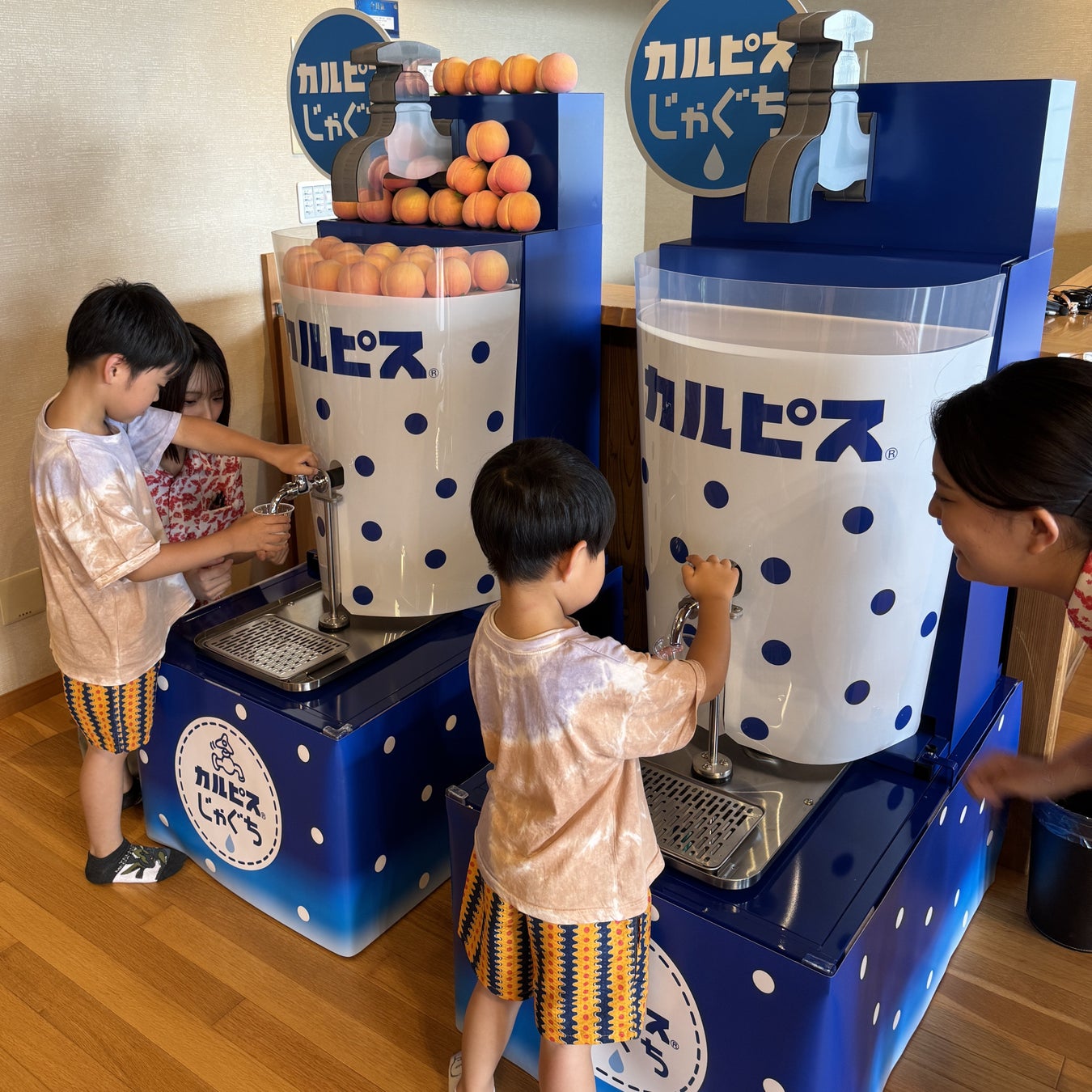 テラスモール湘南に今年も“えのすい”がやってくる!出張水族館「おでかけえのすい」開催体験型ボールプールやワークショップが盛りだくさん!2026年 8月8日(土)~ 8月23日(日)