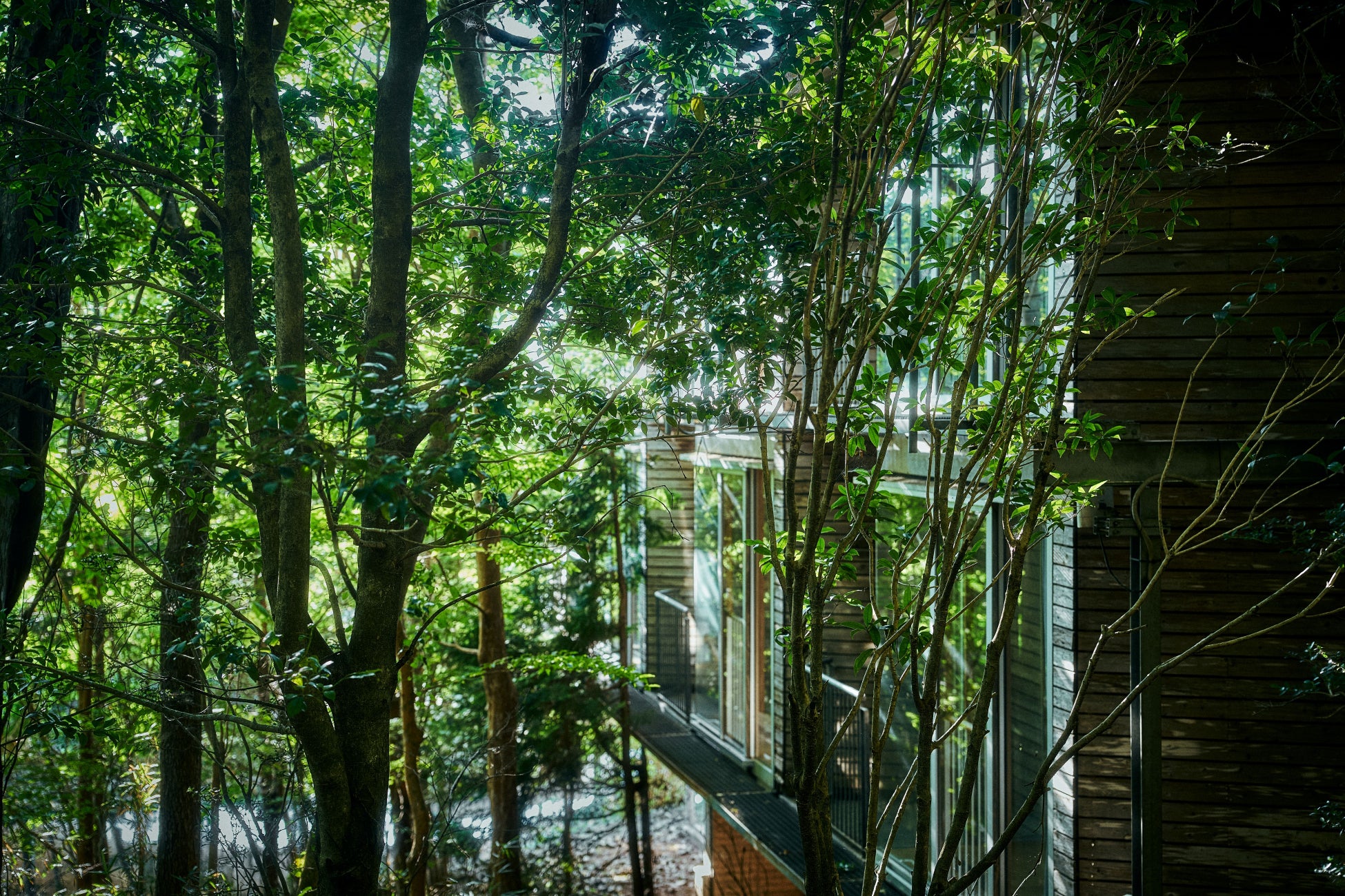 【箱根リトリートföre & villa 1/f】避暑地・箱根で体験する、森と呼吸が導くウェルネスステイ～自然と調和するピラティスリトリート～