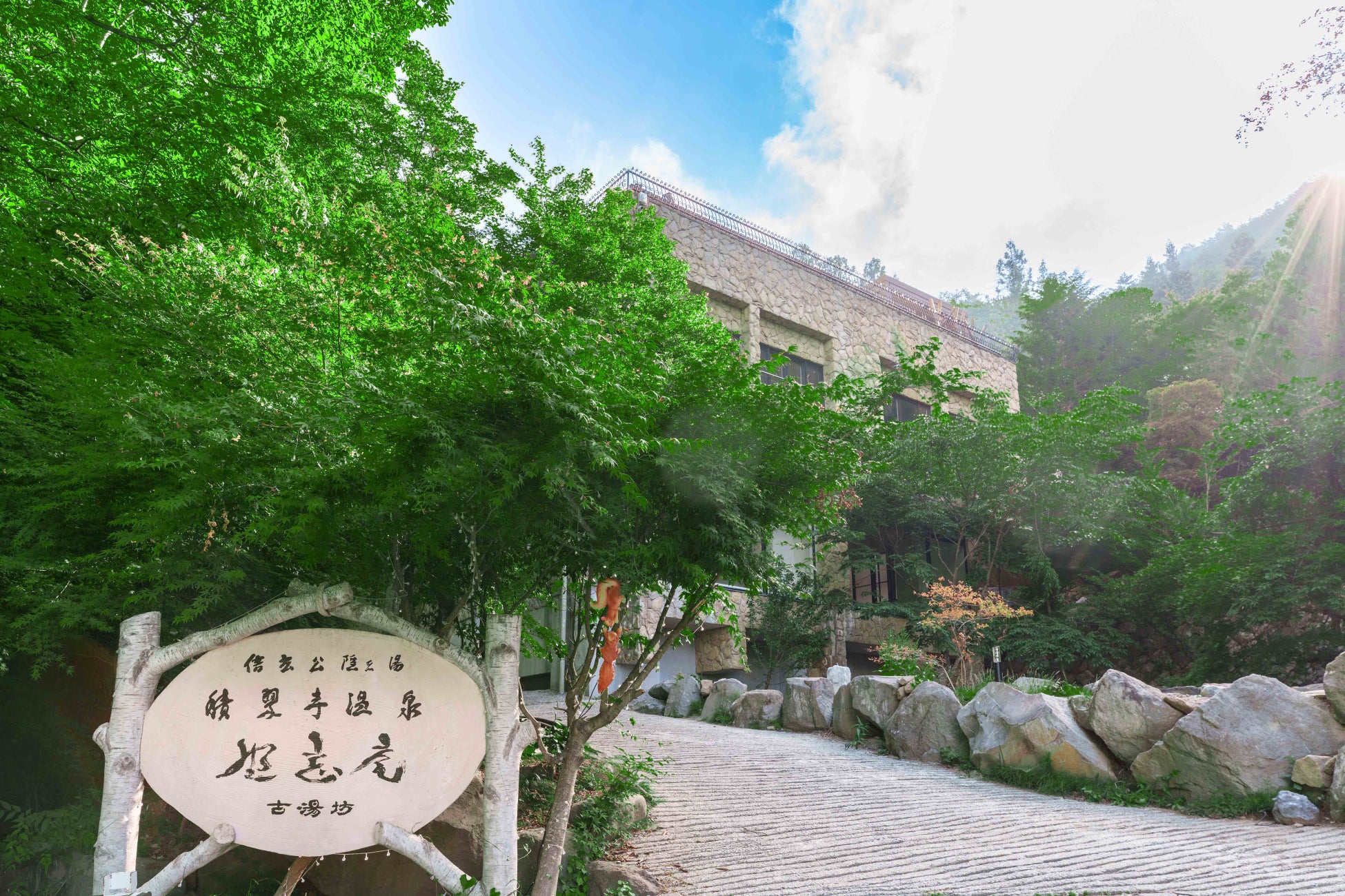 【愛媛・松山】P・SPO Pig Cafe 公式Instagram開設