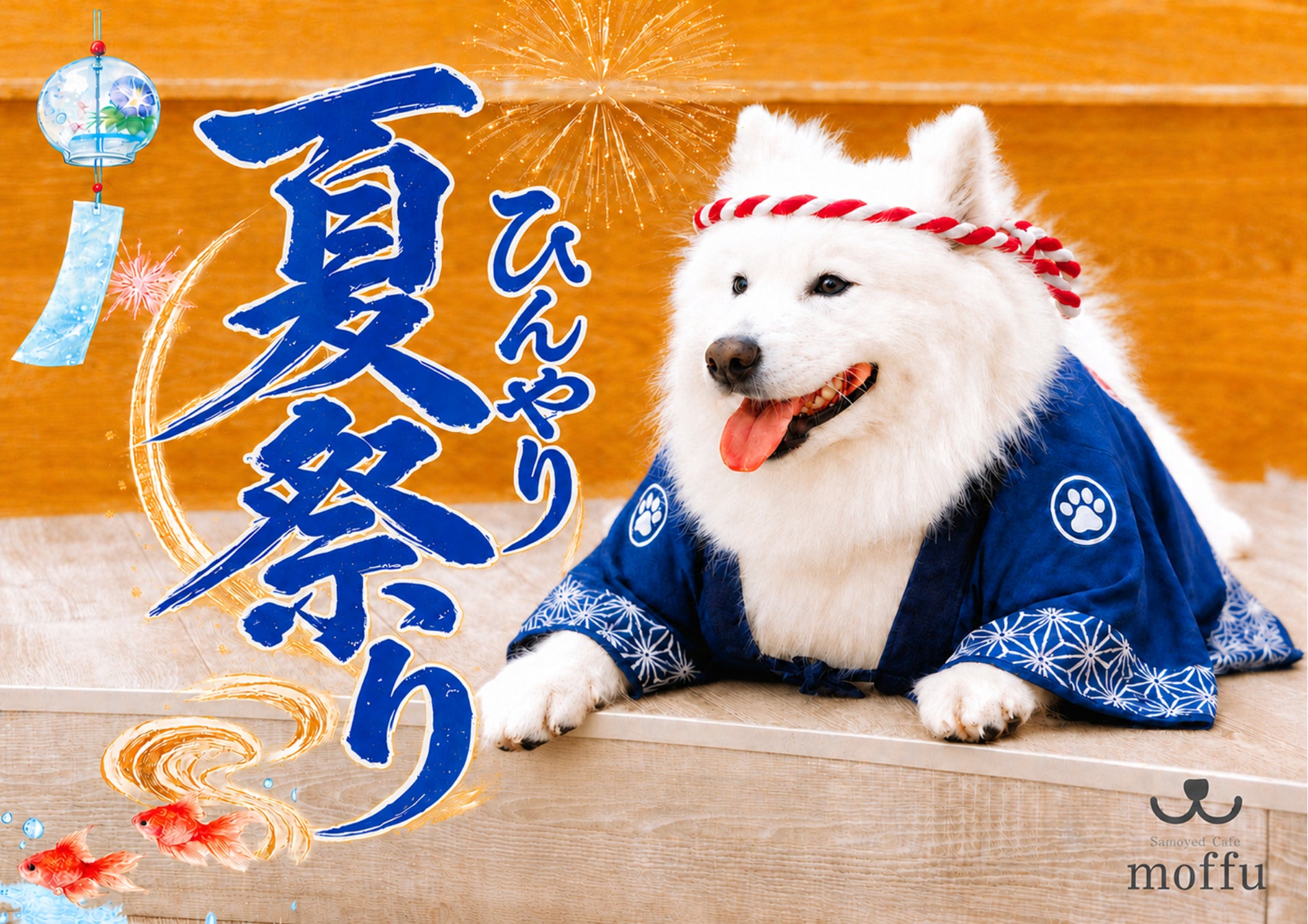 猛暑の避難所は、もふもふの中に。真っ白サモエドと涼む「ひんやり夏祭り」8月から開催