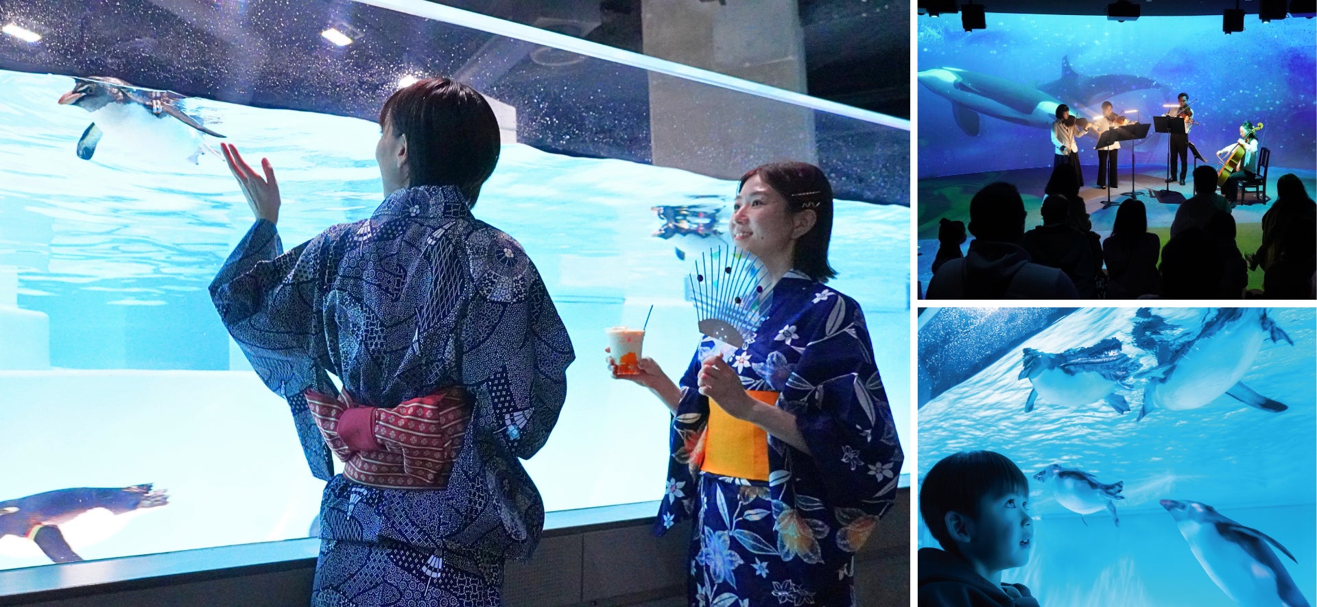 開業3周年記念！水族館がさまざまなカルチャーとコラボするナイトイベント　「大進化！AOAO SAPPORO 夏の夜更かしまつり8DAYS」を7月18日（土）からスタート