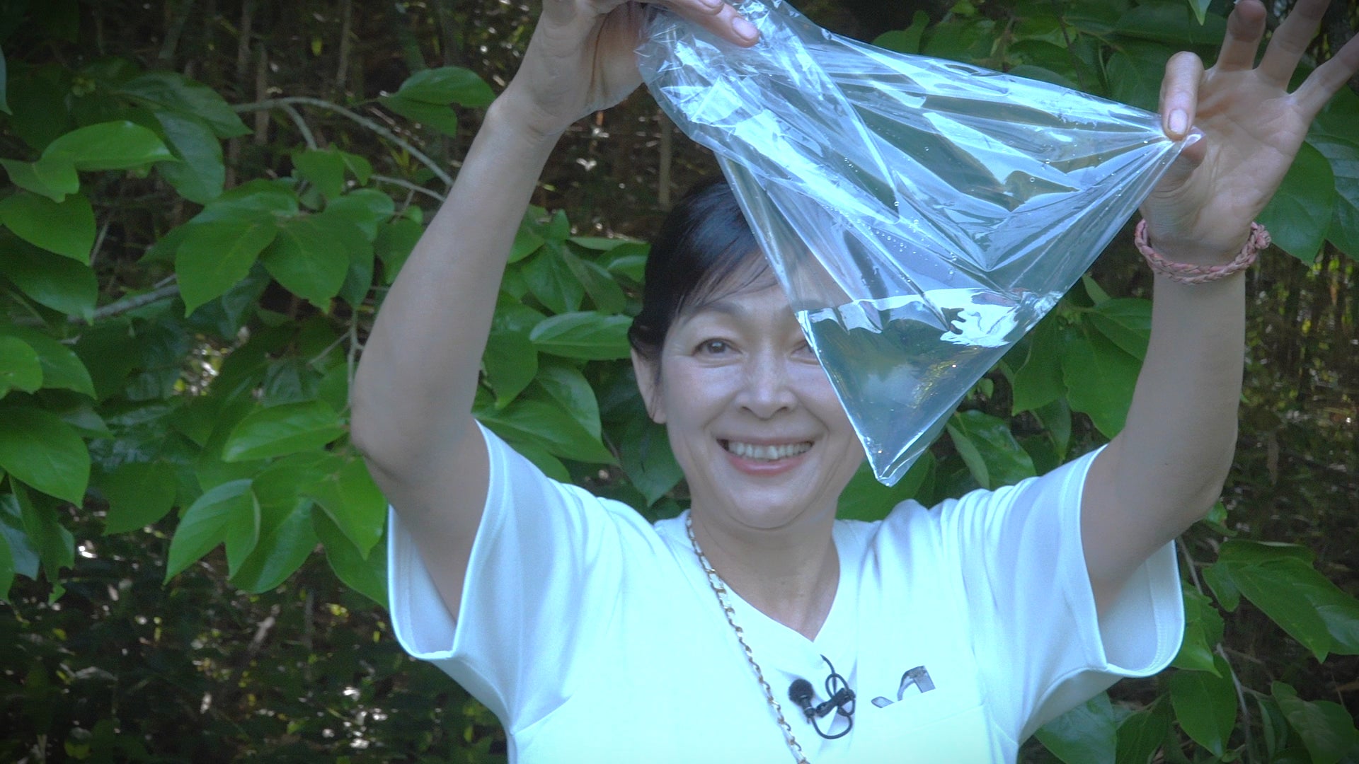 レモン仕立てで夏らしい、ひんやりパリふわ食感の進化系もみじ饅頭誕生!特製グレーズで包み込んだ新商品「グレーズドもみじ」が7月18日より期間限定でにしき堂が発売