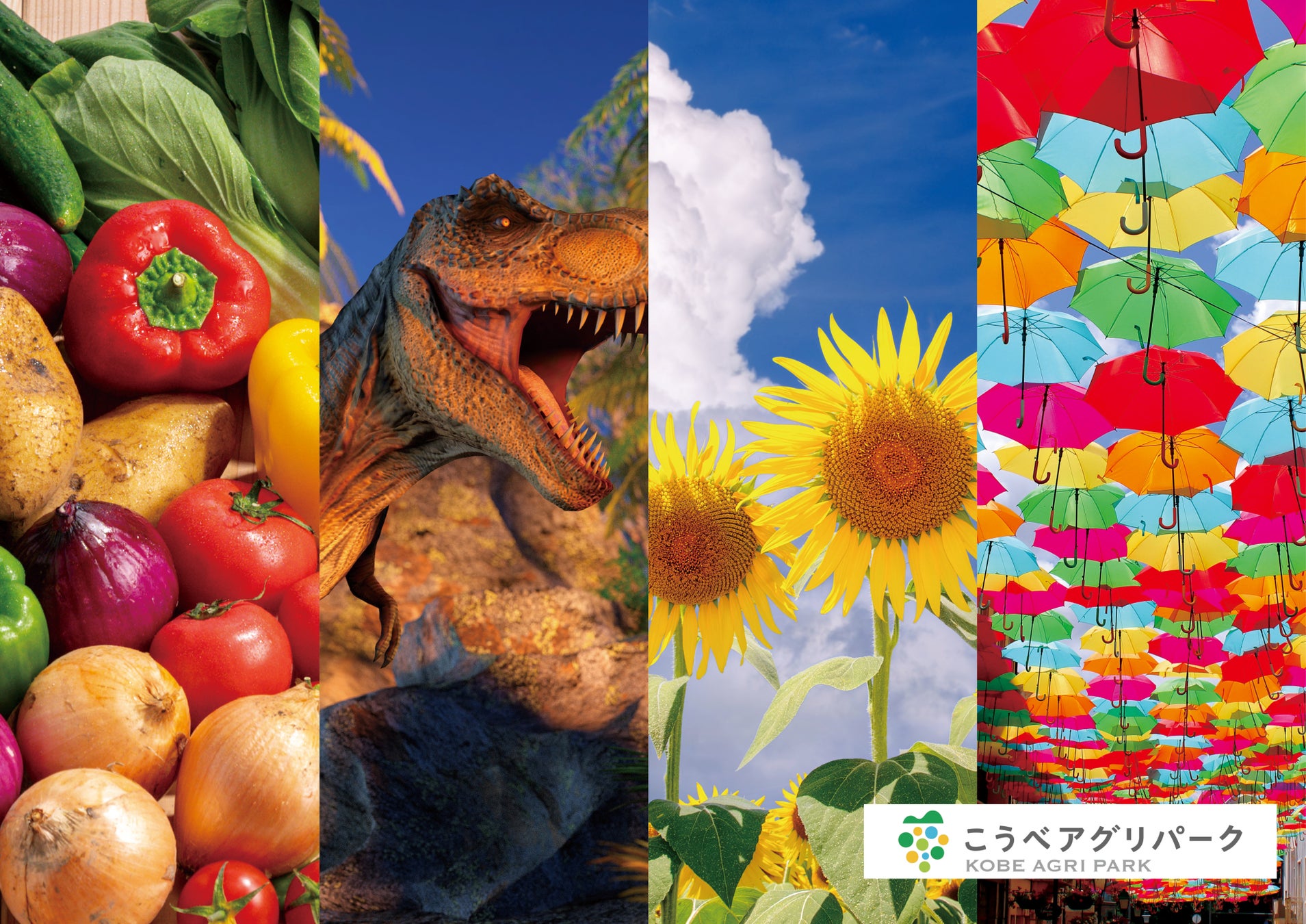 三島スカイウォークで親子で空・森・冒険の体験！「カブトムシ・クワガタ イベント」など7月17日(金)より順次開催。「恐竜迷路」のリニューアルや天空アスレチック「ドラゴンキャッスル」４周年記念イベントも