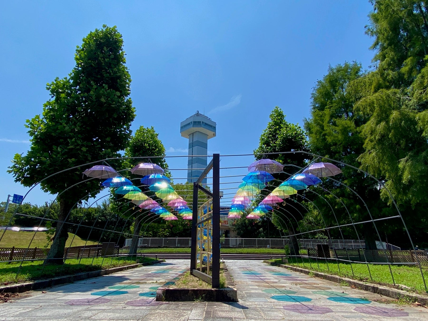 「夏の花物語」開催（国営木曽三川公園　木曽三川公園センター）