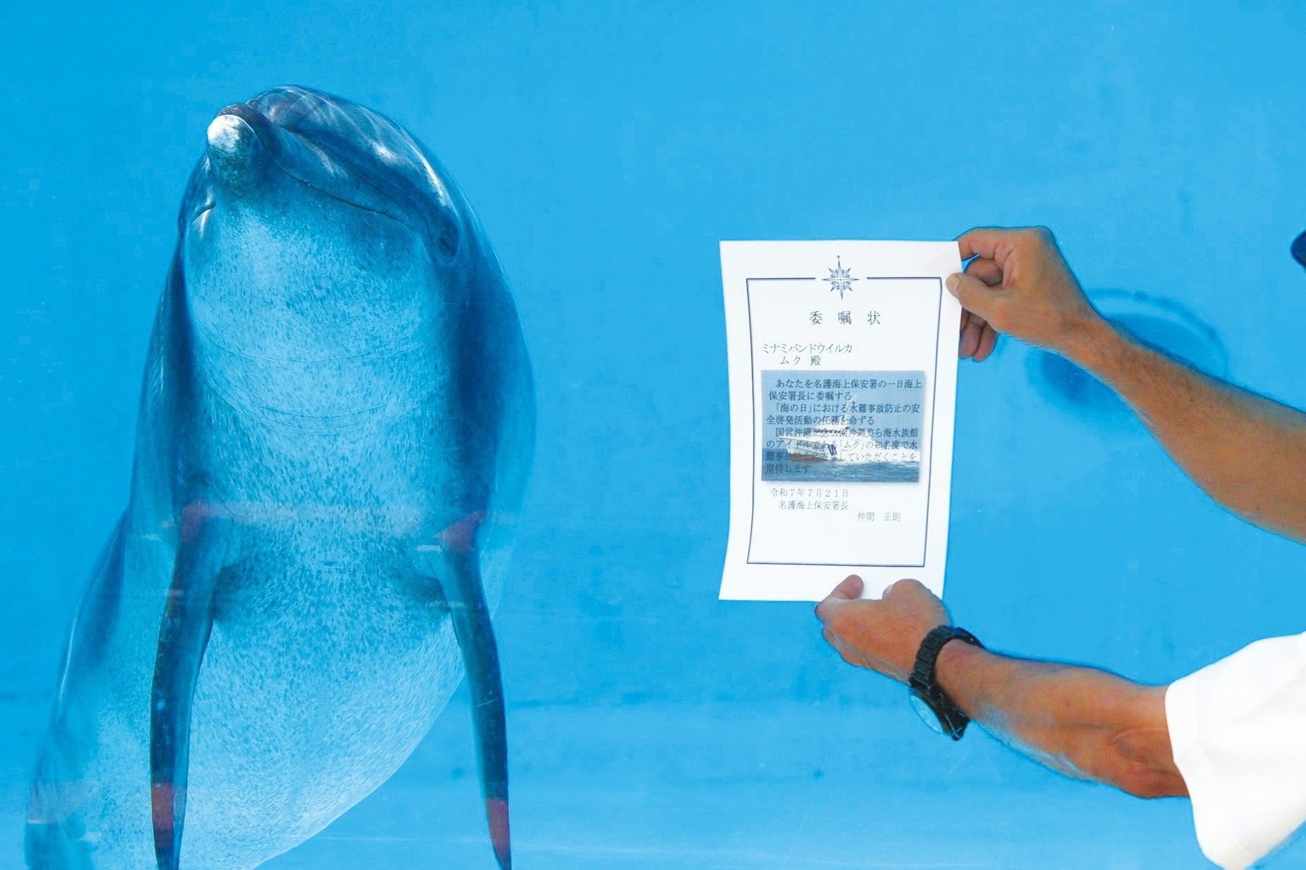 【沖縄美ら海水族館】海遊びはライフジャケットを着用しよう！「ムク」一日名護海上保安署長に就任！