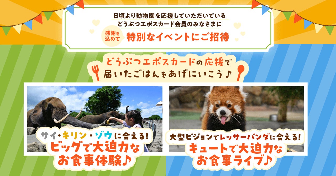 「好き」が“ごはん”になる瞬間を体験！どうぶつエポスカード初の会員限定イベント with アドベンチャーワールド！