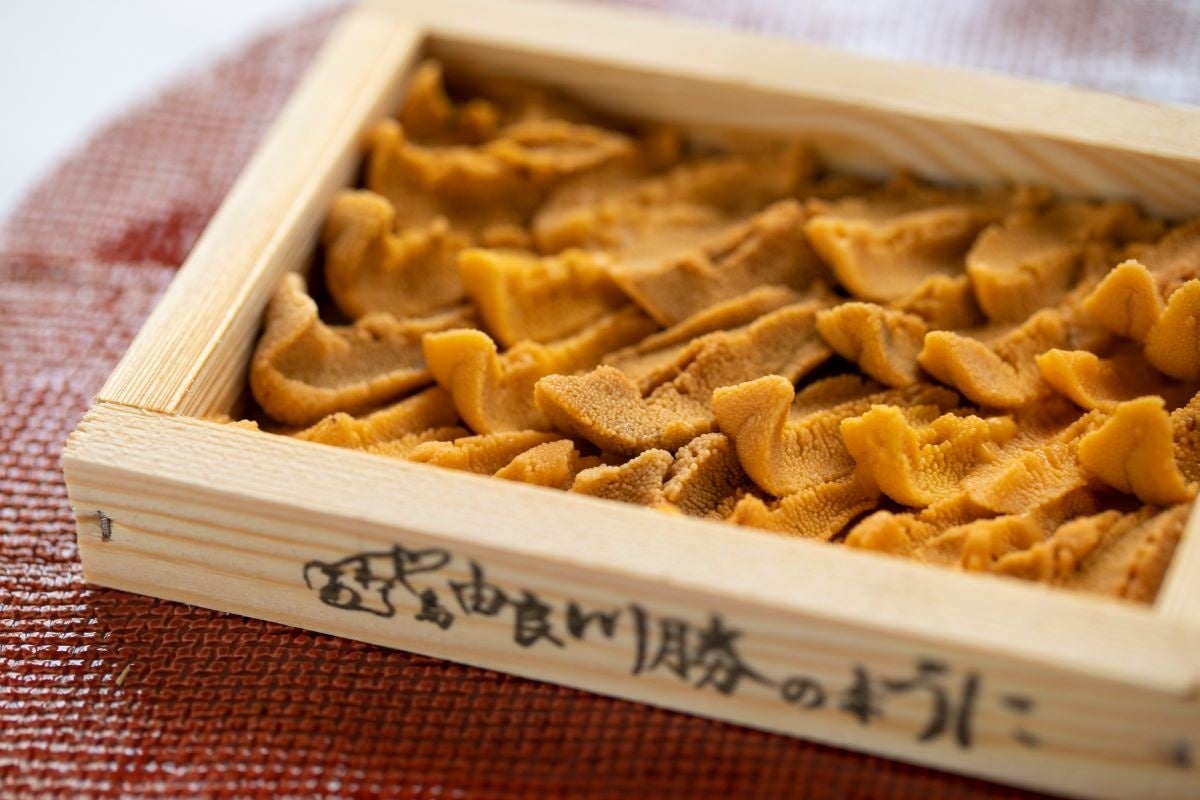 一生に一度は食べてほしい、淡路島“幻の赤うに”解禁。週間10組限定　由良の赤うにを「一箱丸ごと」味わう特別体験