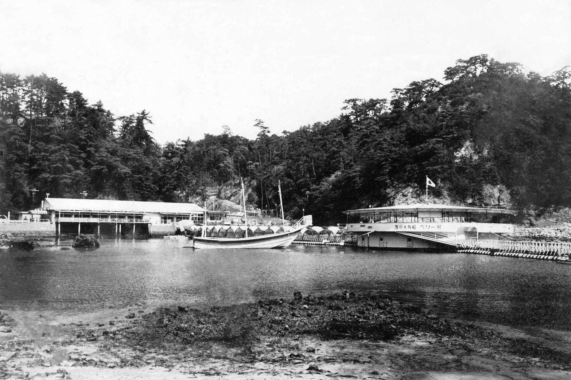 【藤田観光 昭和100年イヤー特別企画 ニュースレター】【第5弾】下田海中水族館の歴史を振り返る