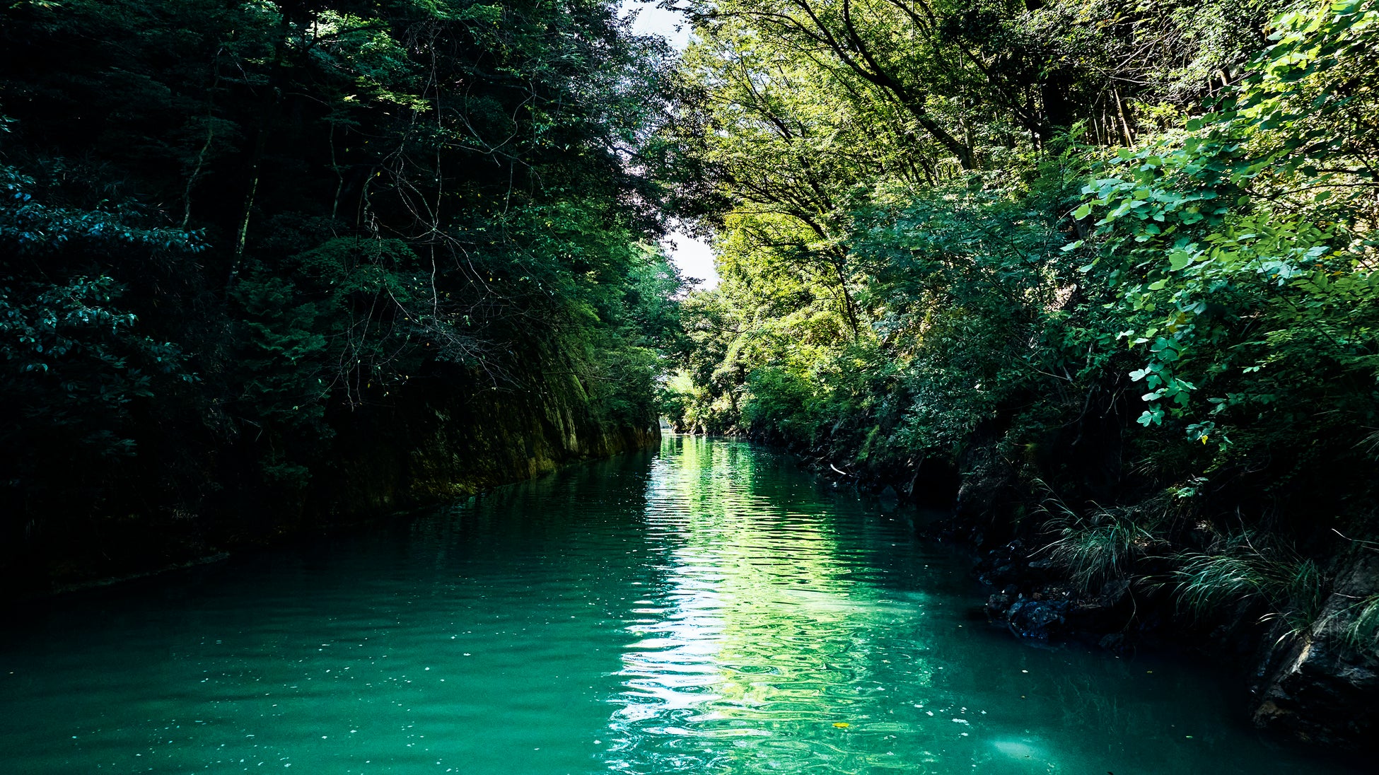 夏休みの自由研究は船の上で！ラムサール条約湿地・三方五湖をめぐる「自由研究クルーズ」8月7日開催［小学校高学年向け体験イベント］