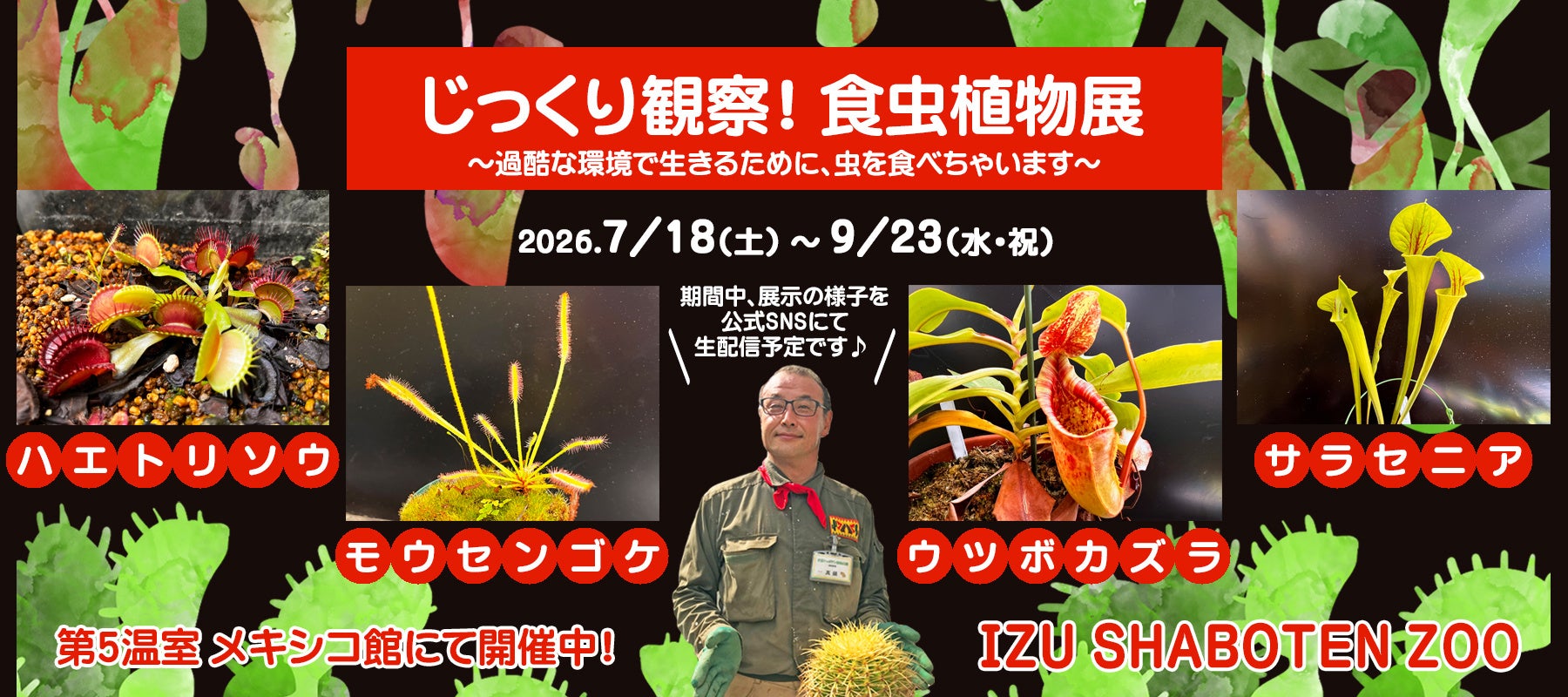伊豆シャボテン動物公園の温室で「じっくり観察！食虫植物展」を開催！～過酷な環境で生きるために、虫を食べちゃいます～