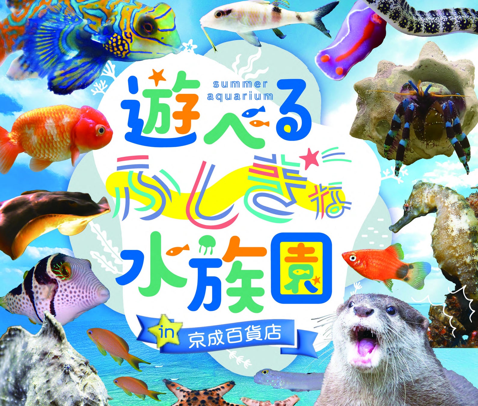 【新潟・上越】サウナの窓いっぱいに、日本海と夕日。絶景「パノラマサウナ」誕生、全11棟も客室シアター化へリニューアル<蒼天海峯>