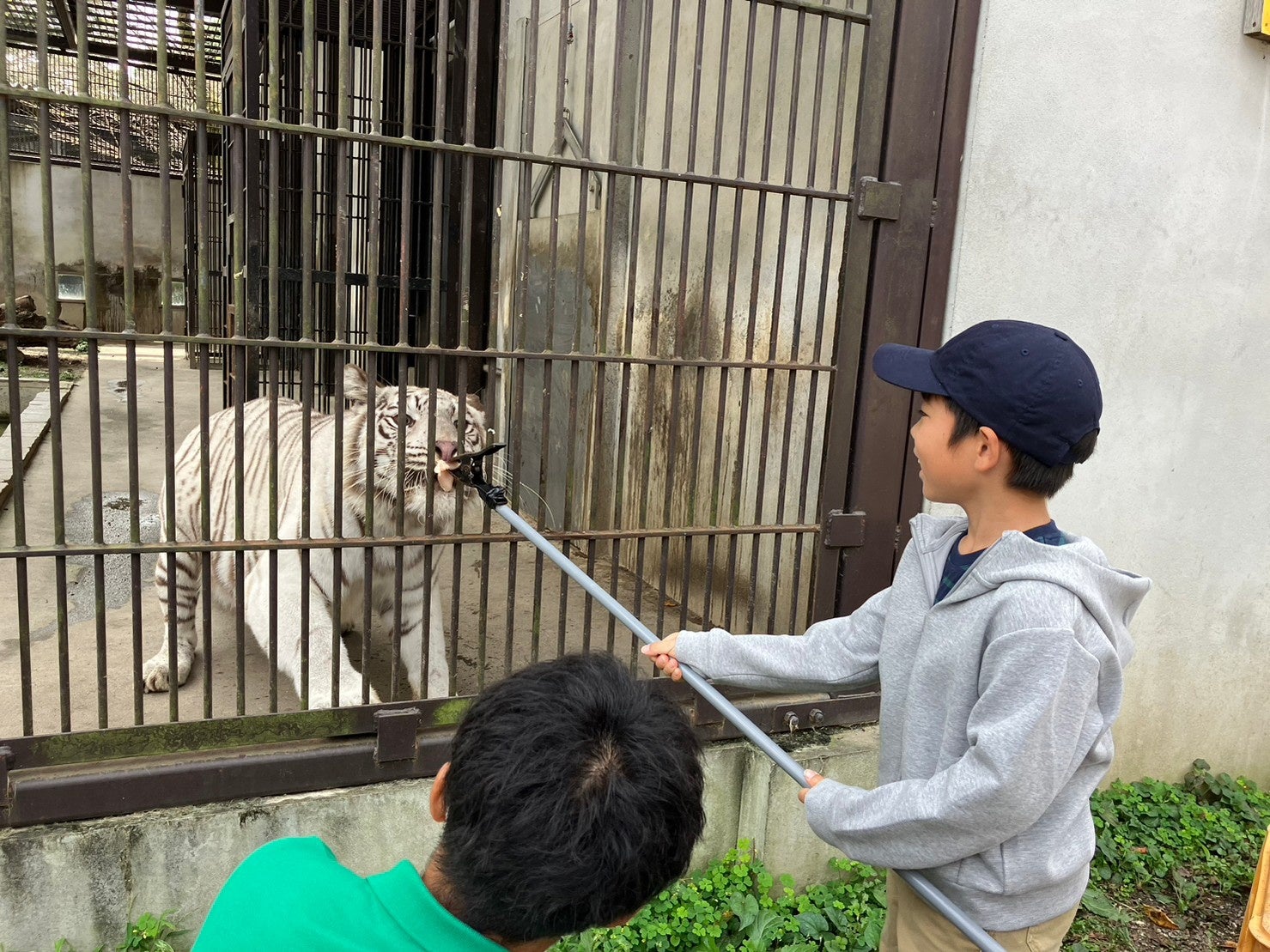 “地域のやっかいもの”を”山の恵み”へ 鹿肉・猪肉・兎肉を一皿で味わう「信州ジビエトリプルミート」 休暇村乗鞍高原で9月1日より販売開始