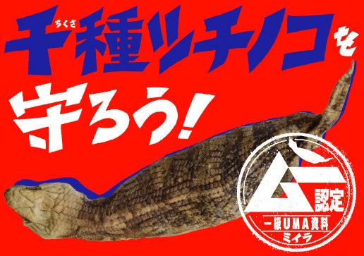 【全国初】『ムー』公認の「ツチノコ常設研究拠点」を創設へ！福祉×UMAで地域課題を解決するクラウドファンディングがCAMPFIREで始動