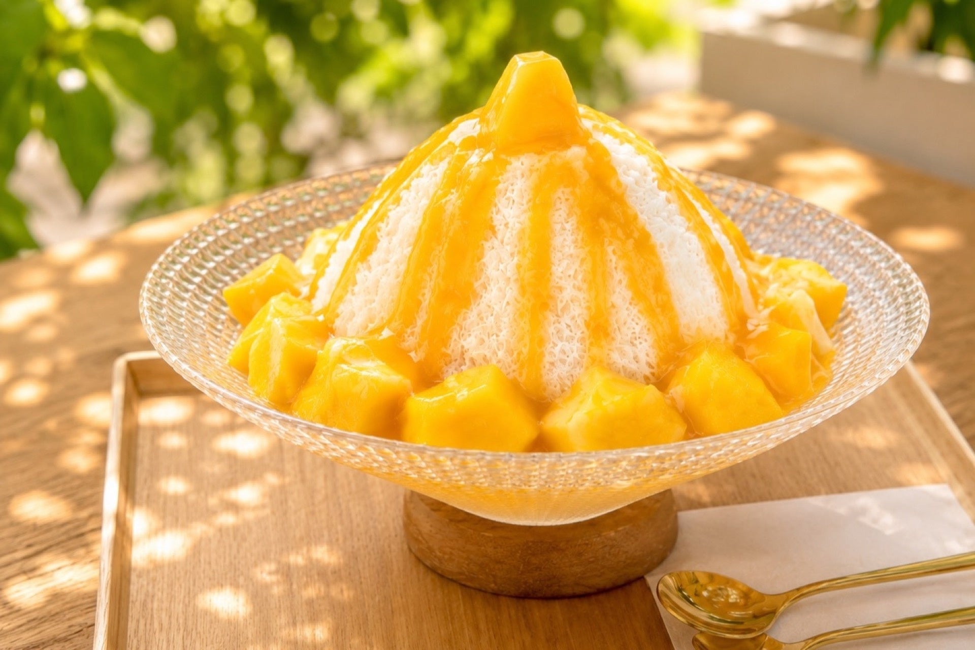 森の涼、山奥の水源地から引いた水風呂、ふわふわ台湾かき氷。日帰りBBQ＆薪サウナが10％OFF