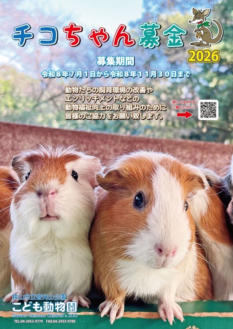 STU48メンバーが一日船長に就任!|ジャンボフェリー「あおい」