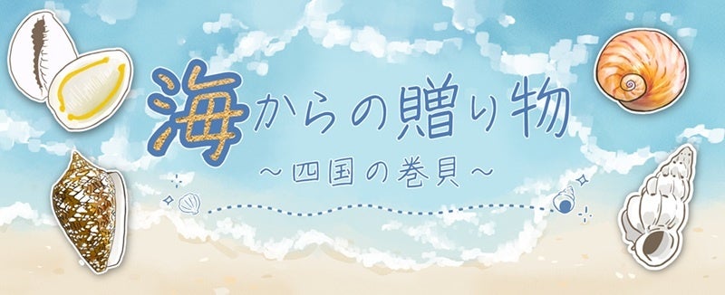 貝の魅力に触れてみませんか？四国水族館でミニ企画展『海からの贈り物～四国の巻貝～』開催中