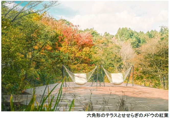 ROKKO森の音ミュージアム SIKIガーデンAutumn Season 紅葉の見頃は10月下旬～11月下旬 2026年8月29日（土）～11月30日（月）