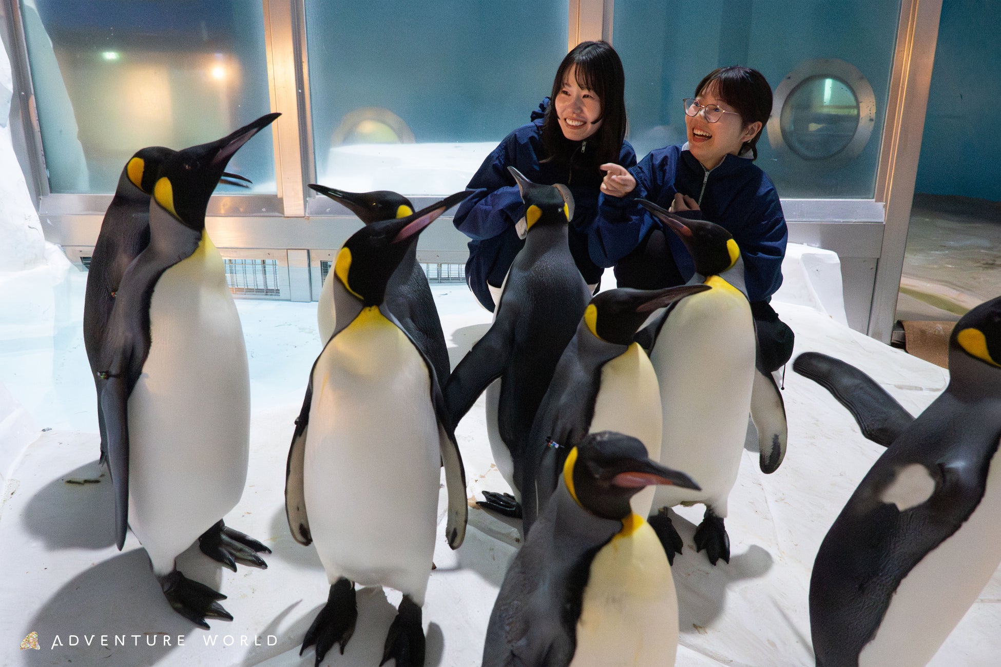 アドベンチャーワールドでしか体験できない「極地探検ツアー ～penguin nice to meet yotour～」誕生