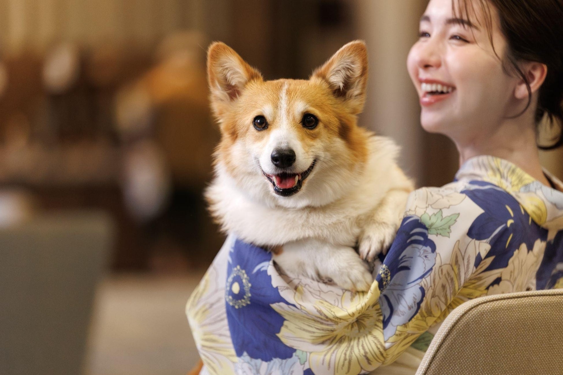 【キャンピングカー比較ナビ】6月度閲覧数ランキングを発表!夏本番直前!「熱中症対策」「エアコン完備」モデルへの関心が急上昇
