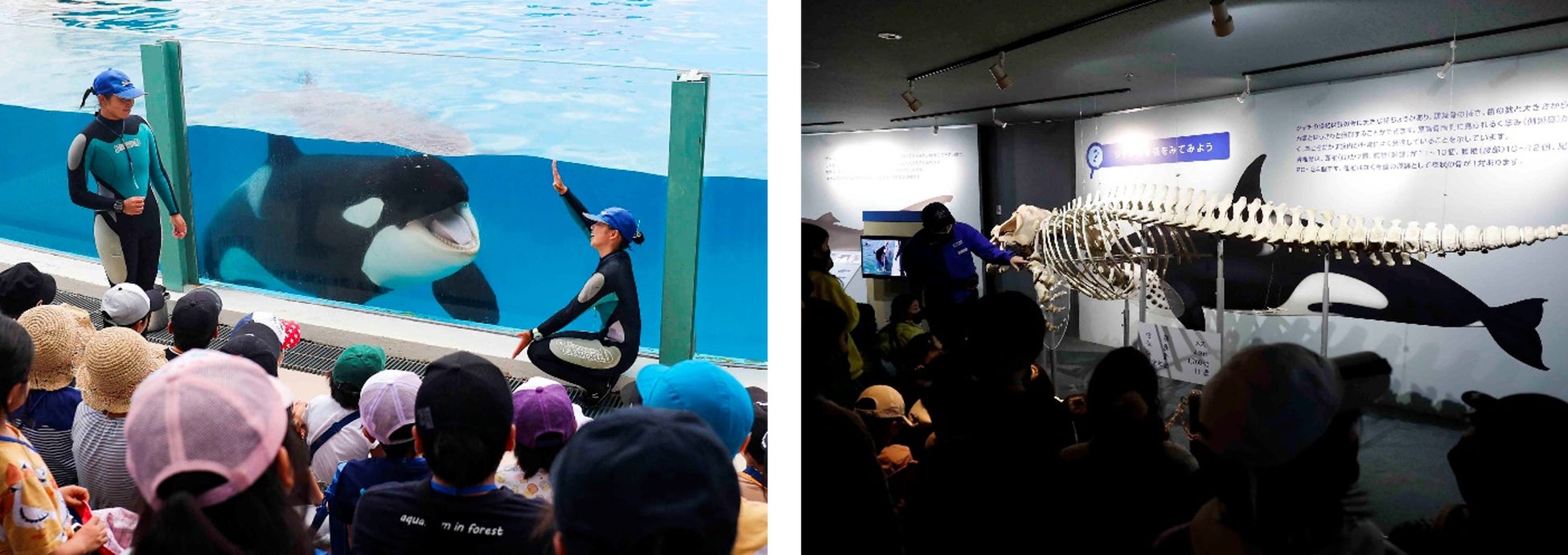 旅行メディア「旅色」で「サンマリン気仙沼ホテル観洋」が提供する宿泊プランの販売を開始しました