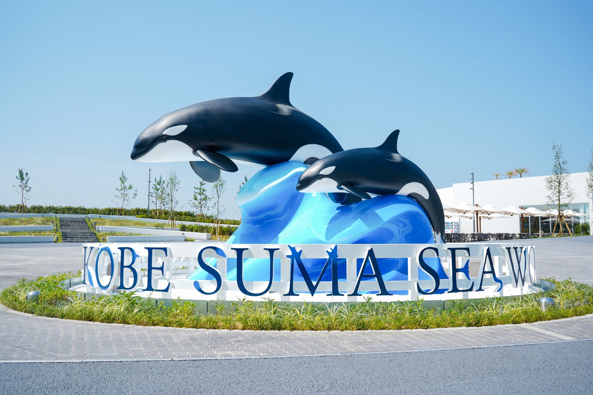 ペア宿泊券が当たる宝探しや、限定かき氷も!絶景ナイトプールで「毎日お得な日替わりイベント」を8月限定で開催