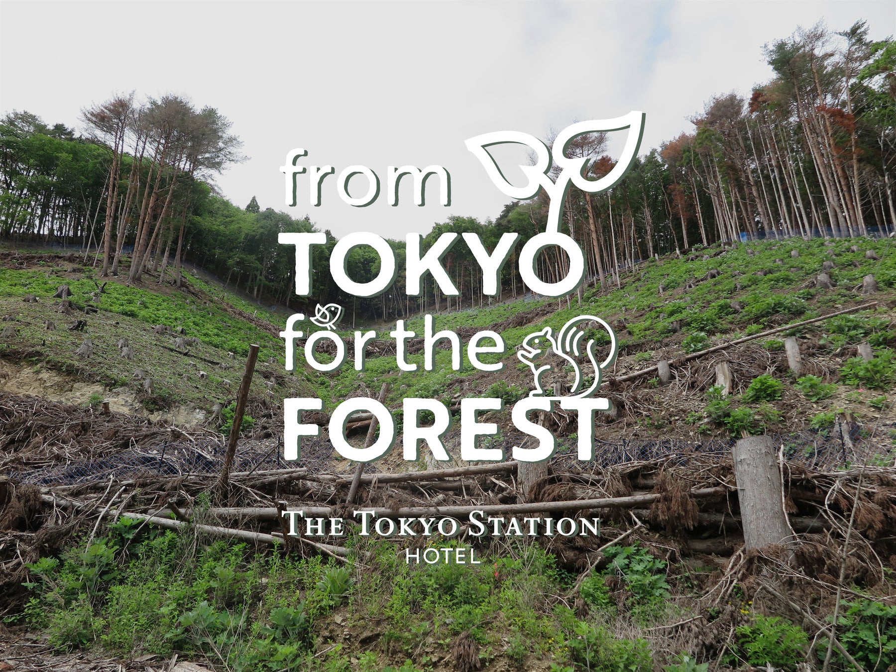 【東京ステーションホテル】森づくりを進めるためのチャリティーにご協力を「from TOKYO for the FOREST」チャリティーうちわ 8月8日（土）より募金受付スタート