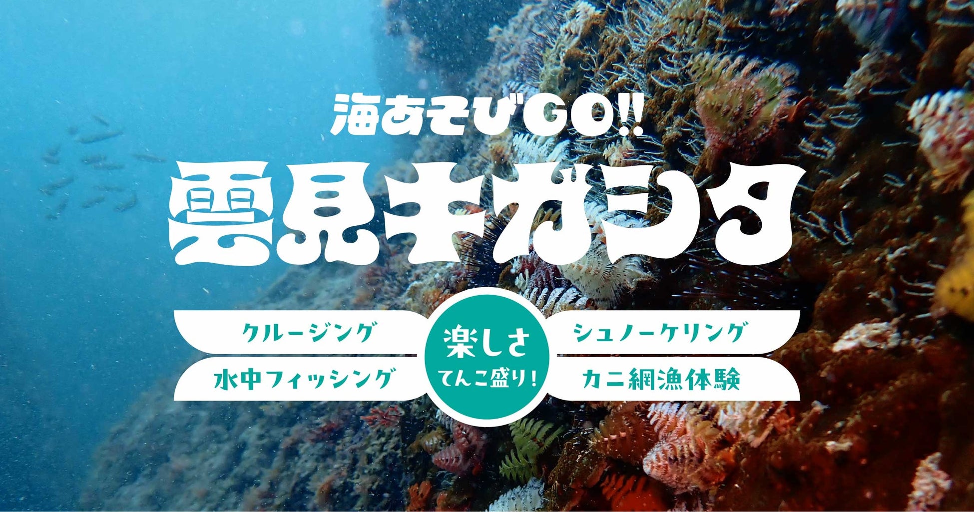 伊豆の秘境「キガシタ」で、人数限定、楽しさてんこ盛り海あそび企画を開催！